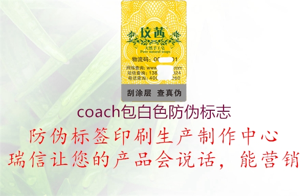 coach包白色山东体育直播泰山对曼谷联
3.jpg